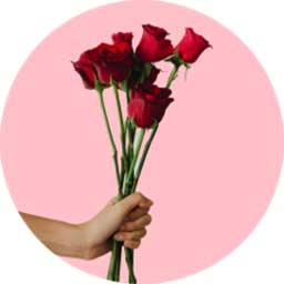 Valentine’s Day Gift