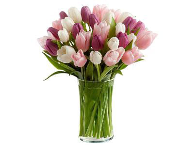 Tulips Pink Shades Bouquet (30)