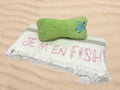 embroidered beach towel and pillow set in green and white