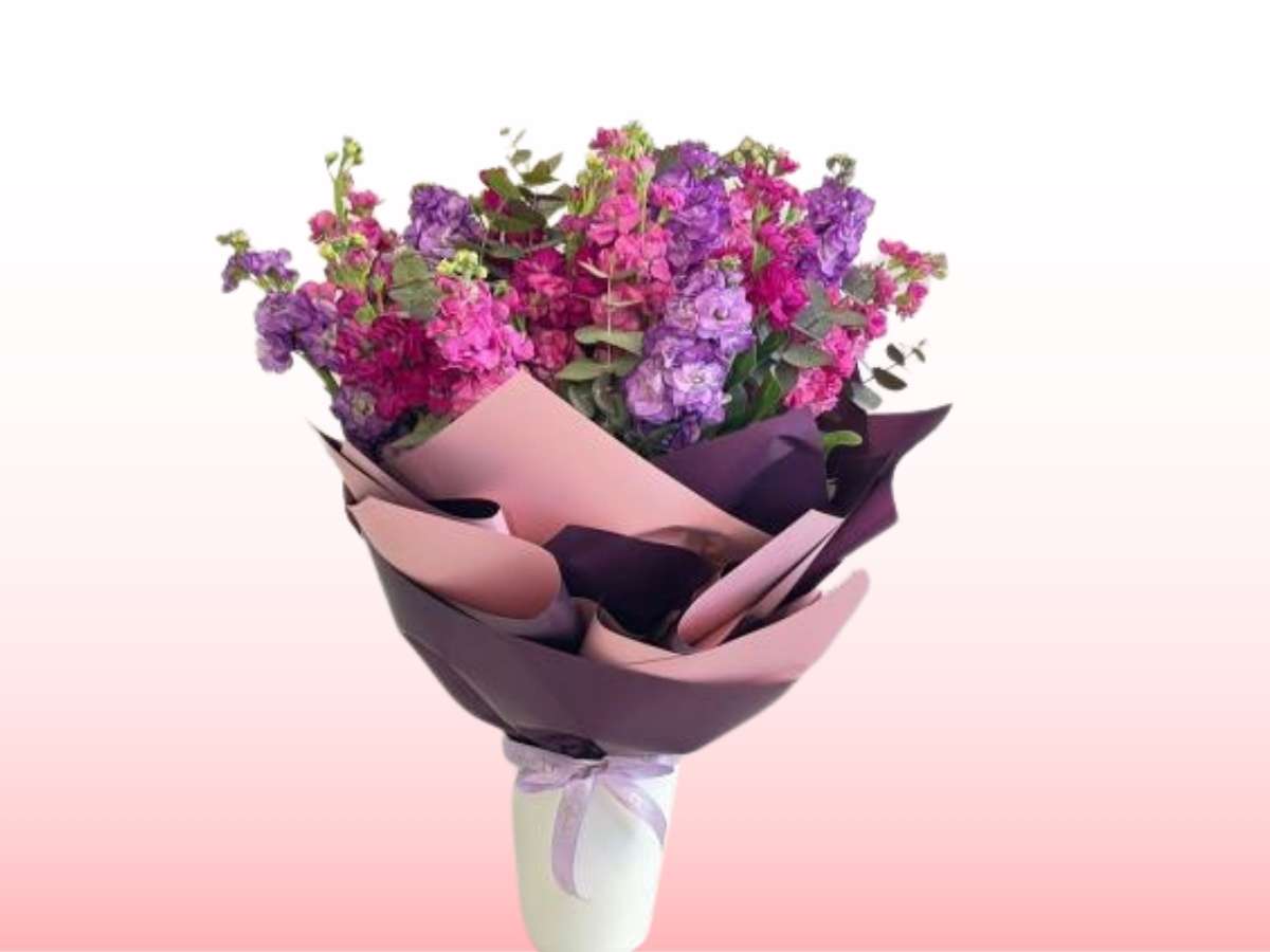 Bouquet of flowers wrapped in purple paper on a gradient pink and white background
