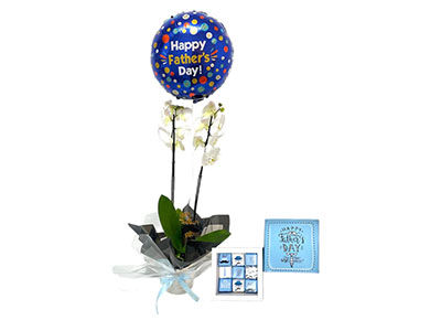 Father's day Orchid bundle