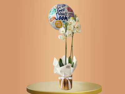 Orchid With Get Well Soon Balloon 