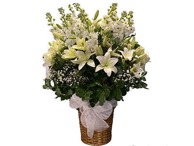 Snow-white Flower Arrangement|Fresh Flowers & Plants