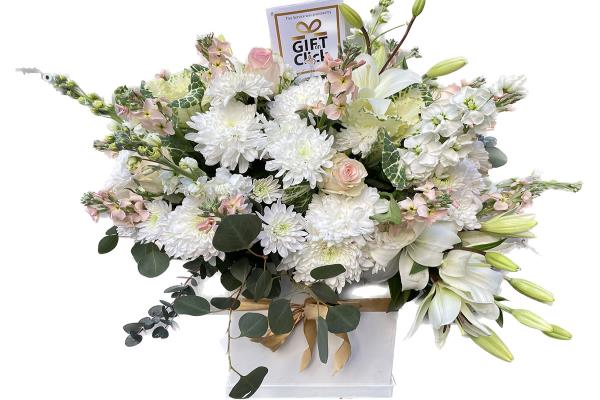 White & Bloom Flower Box