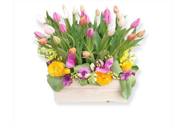 Spring Tulip Bouquet | Fresh Flowers & Plants