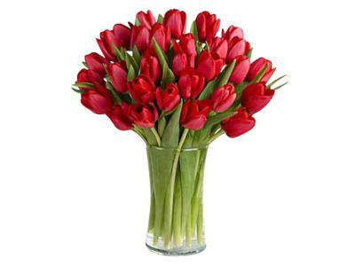 Red Tulips Bouquet | Mother