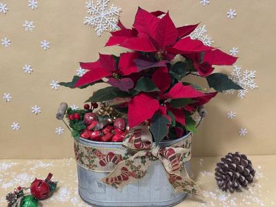 Festive Metallic Poinsettia Pot