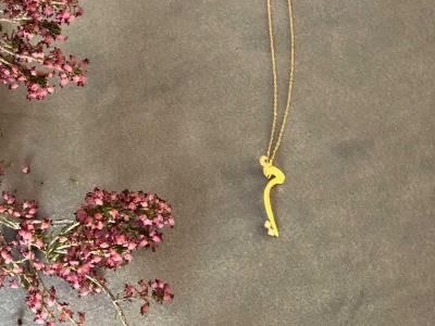 Oumi Gold Plated Necklace