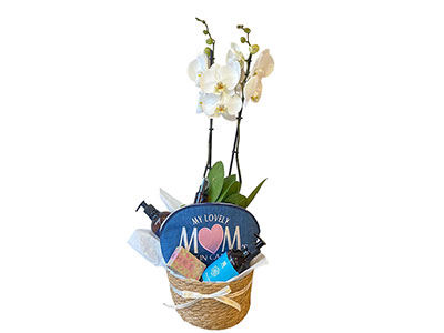 Orchid Glow Gift Basket 