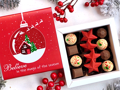 Christmas Magic season chocolate mixed flavours box 