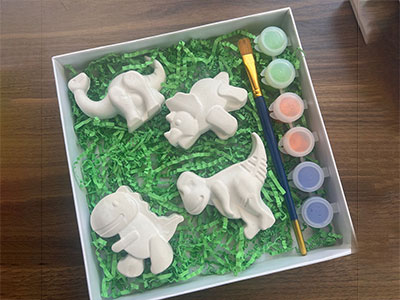 Dinosaur Coloring Clay Set|Present