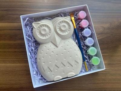 Owl Coloring Clay Set|Present