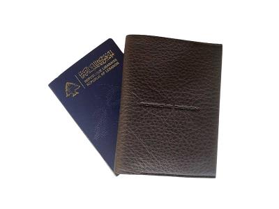 Voyager Passport Holder | Birthday present