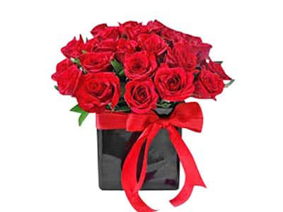 The Box of Red Roses