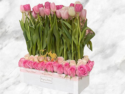 Simply Tulips Box|Mother